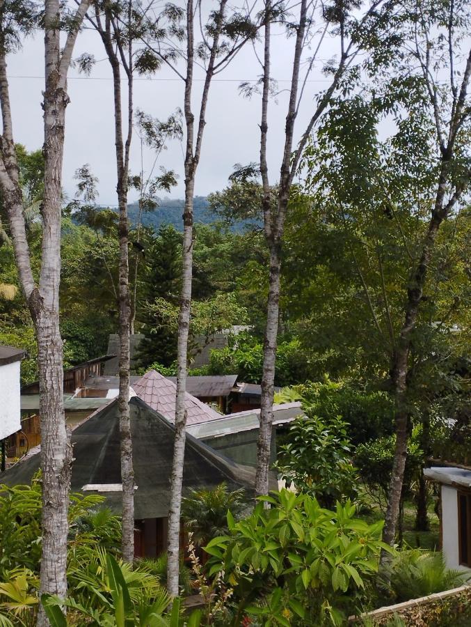 Saguamby Mindo Lodge ภายนอก รูปภาพ