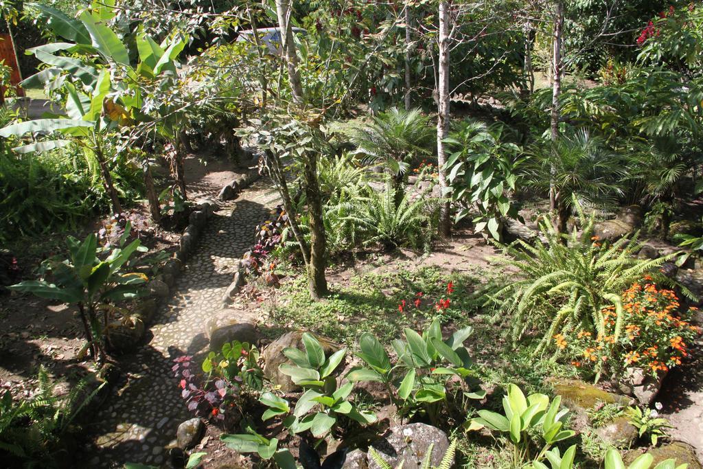 Saguamby Mindo Lodge ภายนอก รูปภาพ